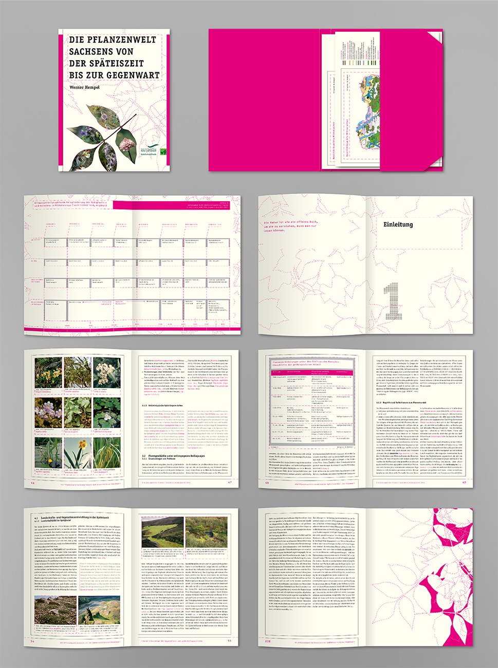 1 LANU Buch Pflanzenwelt