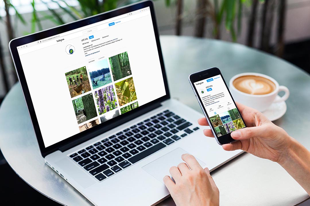 Instagram-Account der Schleswig-Holsteinischen Landesforsten