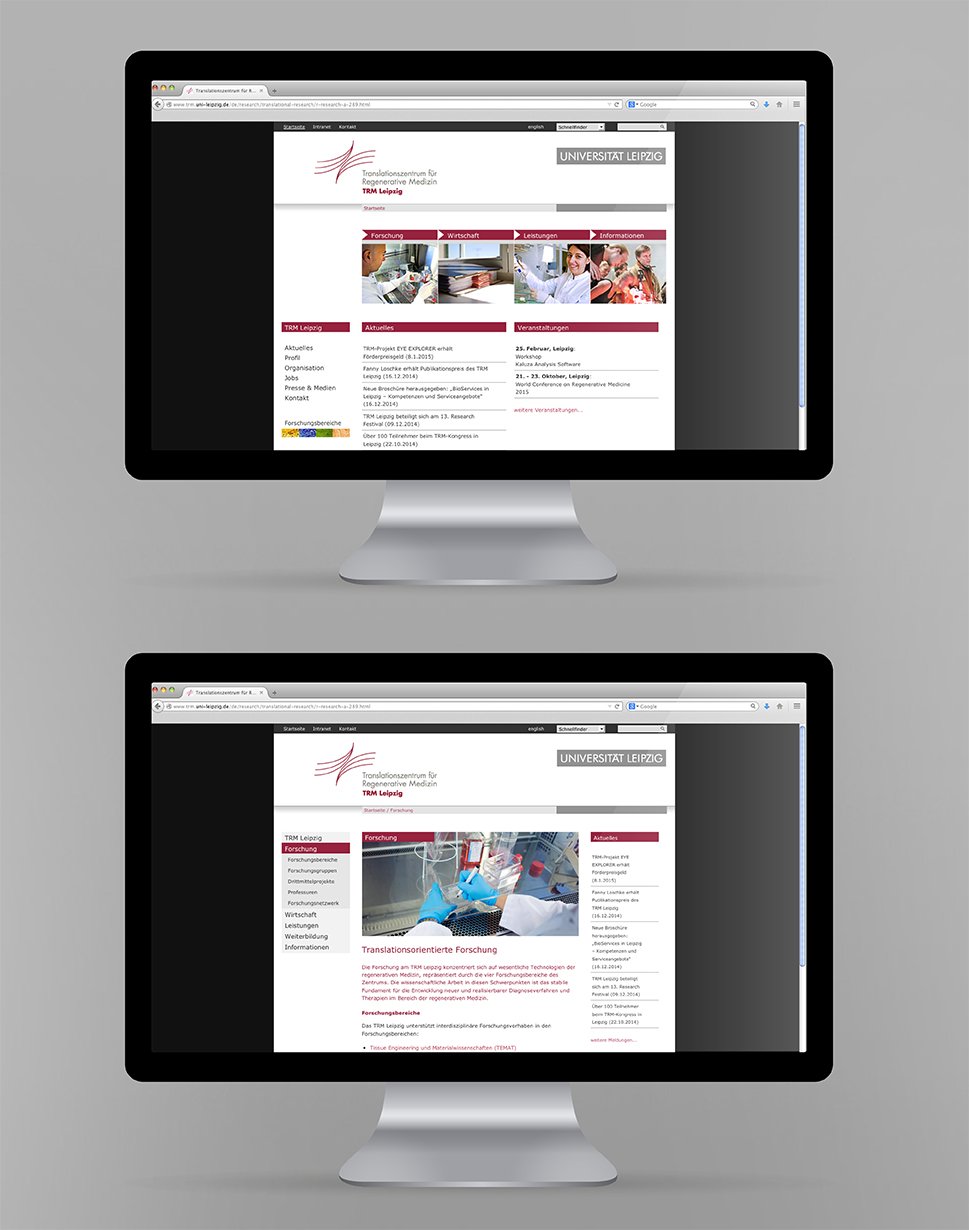 4 TRM Webseite 1