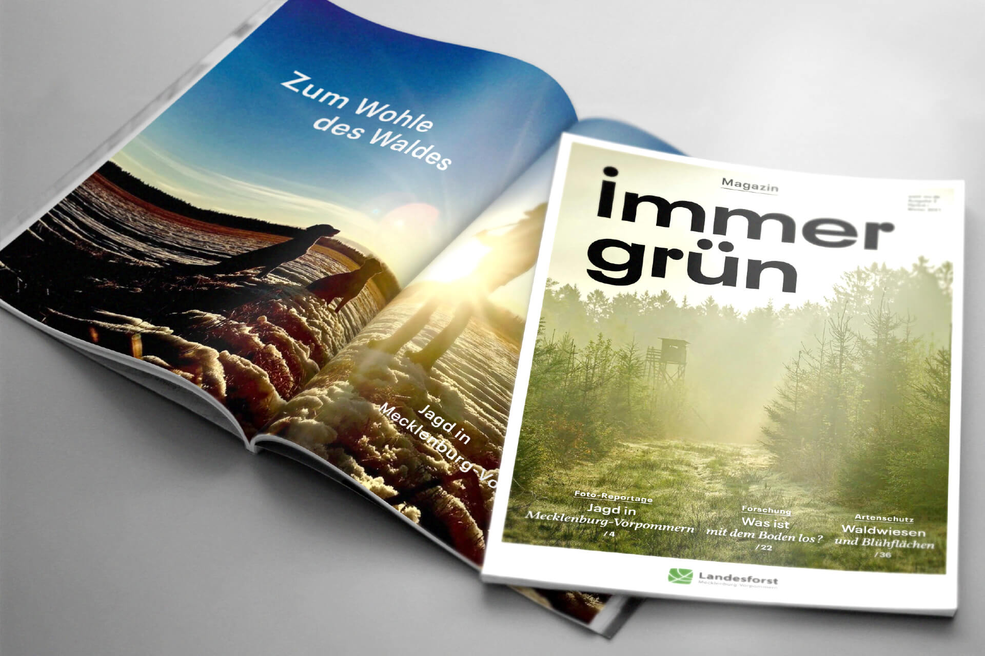 immergruen mit Jahresbericht