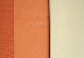 GuentherStiftung Startbild